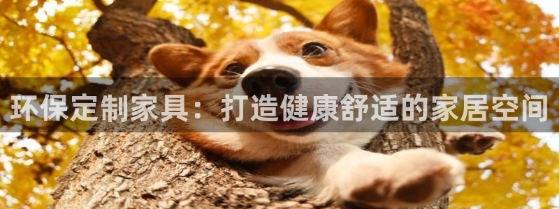 杏耀官方