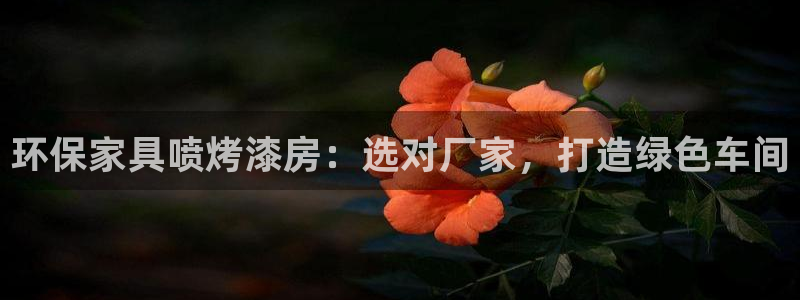 杏耀代理连接