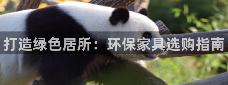 杏耀平台登陆测速