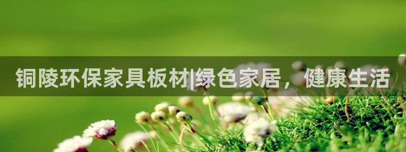 杏耀平台登陆官网