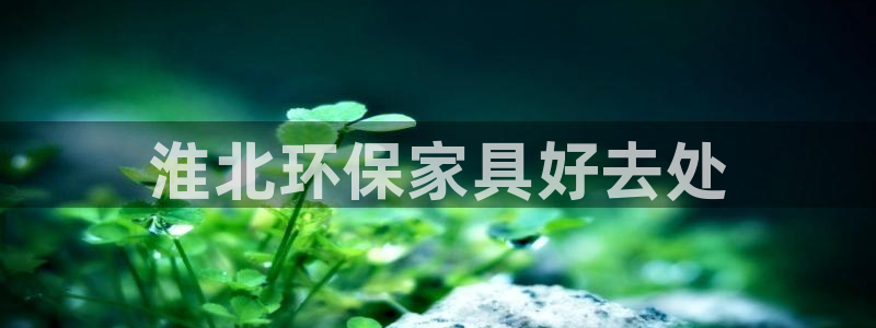 杏耀注册主管：淮北环保家具好去处
