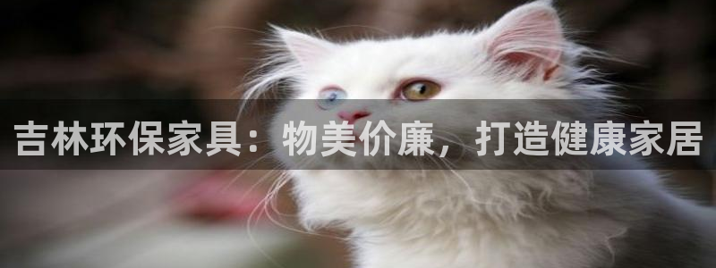 杏耀平台的专用通道：吉林环保家具：物美价廉，打造健康家居