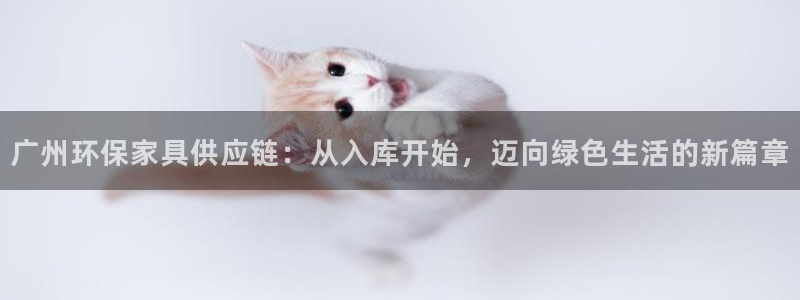 杏耀平台官方登陆：广州环保家具供应链：从入库开始，迈向绿色生