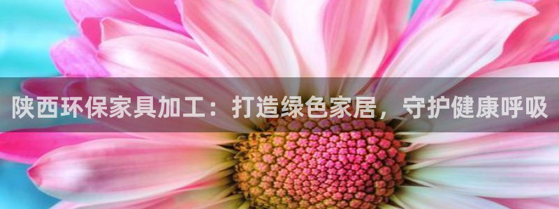杏耀平台待遇：陕西环保家具加工：打造绿色家居，守护健康呼吸