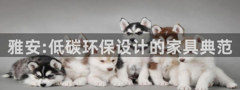 杏耀平台代理怎么赚钱的