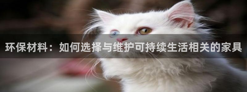 杏耀平台手机：环保材料：如何选择与维护可持续生活相关的家具