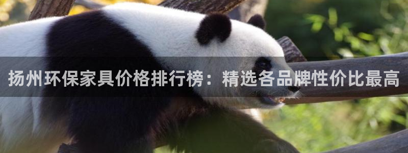 杏耀平台分红：扬州环保家具价格排行榜：精选各品牌性价比最高