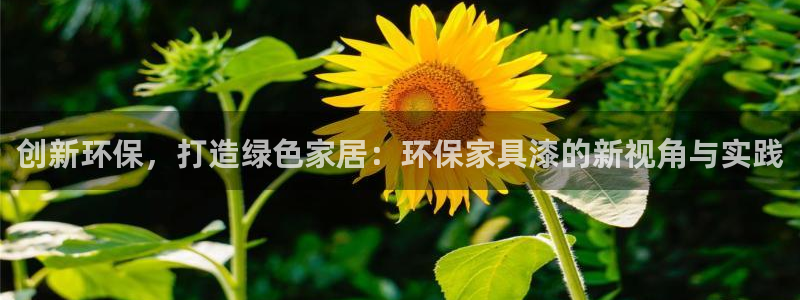 杏耀平台官方登陆：创新环保，打造绿色家居：环保家具漆的新视角