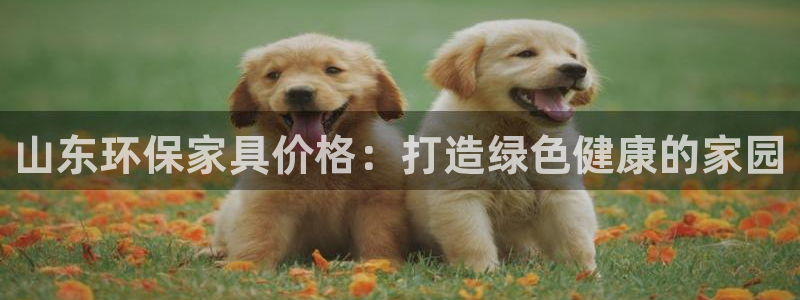 杏耀注册线路：山东环保家具价格：打造绿色健康的家园