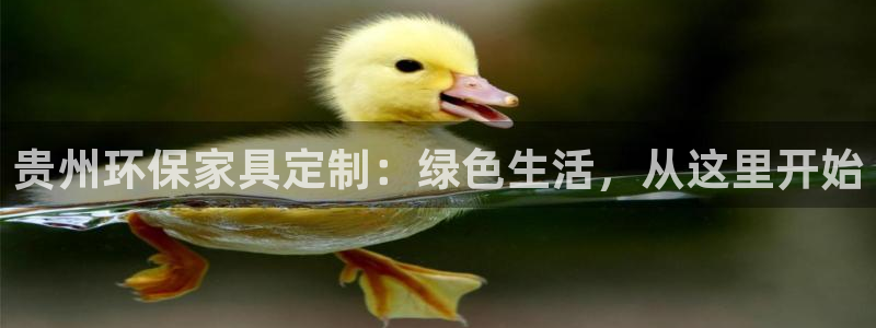 杏耀平台登陆测速