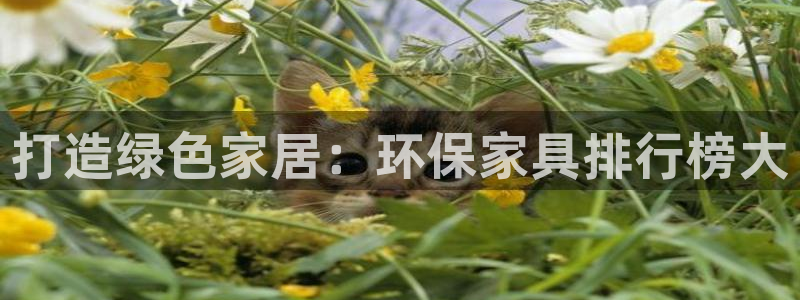 杏耀平台线路测试