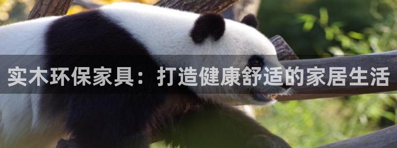 杏耀平台娱乐登陆：实木环保家具：打造健康舒适的家居生活