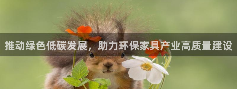 杏耀平台的专用通道：推动绿色低碳发展，助力环保家具产业高质量