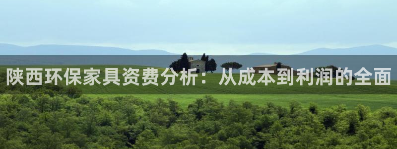 杏耀注册开户：陕西环保家具资费分析：从成本到利润的全面