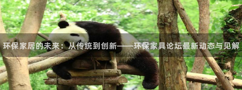 杏耀注册链接：环保家居的未来：从传统到创新——环保家具论坛最