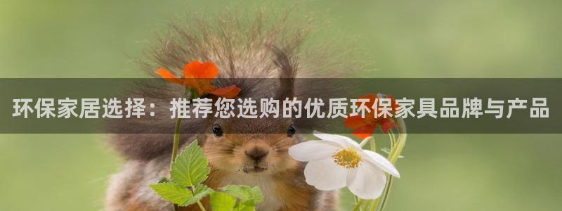 杏耀平台线路测试：环保家居选择：推荐您选购的优质环保家具品牌