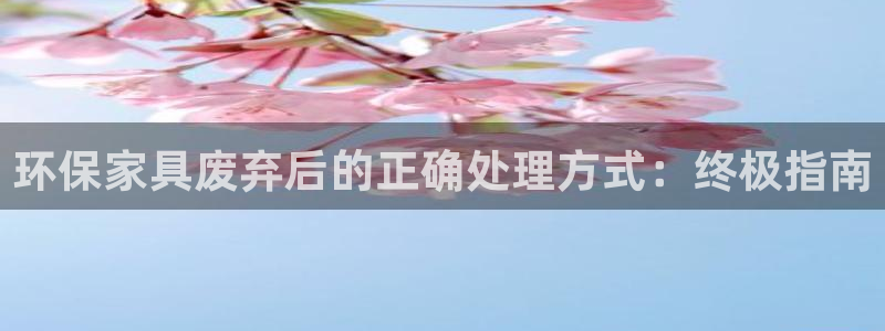 杏耀登陆电脑线路测速