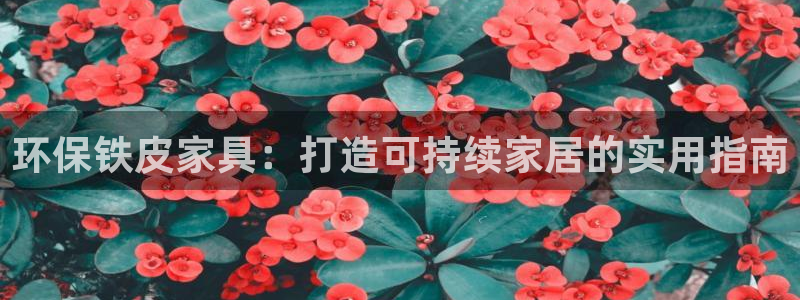 杏耀平台代理登录网址：环保铁皮家具：打造可持续家居的实用指南